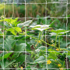Tcamp Heavy-Duty Polyester Garden Trellis Net Plant Support Netting for Climbing Plants Outdoor, Flexible String Net for Bean Pea, White Grow Tent (5Ft x 30Ft, 3.5" Opening Mesh, 1 Pack)