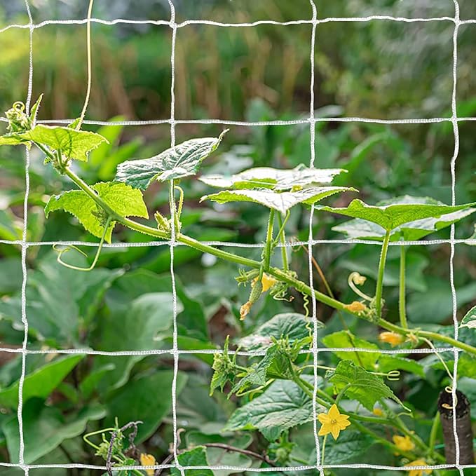 Tcamp Heavy-Duty Polyester Garden Trellis Net Plant Support Netting for Climbing Plants Outdoor, Flexible String Net for Bean Pea, White Grow Tent (5Ft x 30Ft, 3.5" Opening Mesh, 1 Pack)