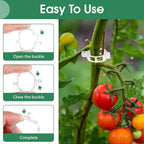 150 Pcs Plant Clips for Climbing Plants, Tomato Clips for Support, Plastic Garden Clips for Plants Grape Vine Vegetables Make Plant Grow Upright