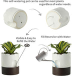 Nihow Self Watering Plant Pot: 8 Inch Ceramic Planter with Drainage Hole & Water Storage Plus - Relief Design Self Watering Pot for Indoor Plants - Beige & Brown Flower Pot