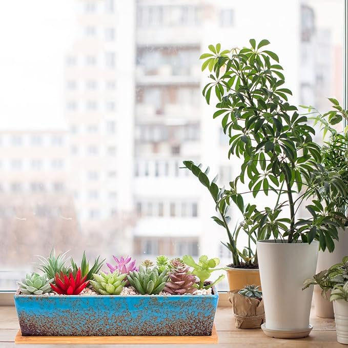 ARTKETTY Succulent Pots - Large Succulent Planter Pots with Drainage, 12 Inch Long Rectangle Bonsai Pot with Bamboo Tray Shallow Ceramic Cactus Flower Planter Window Box for Home Garden Decor (Blue)