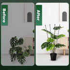 Garden Trellis for Climbing Plants Outdoor & Indoor, 47in Obelisk Trellis and Tomato cage 2 Shapes Rustproof Plant Support for Indoor Plants Trellis for Potted Plants with 5pcs Decorative Butterfly
