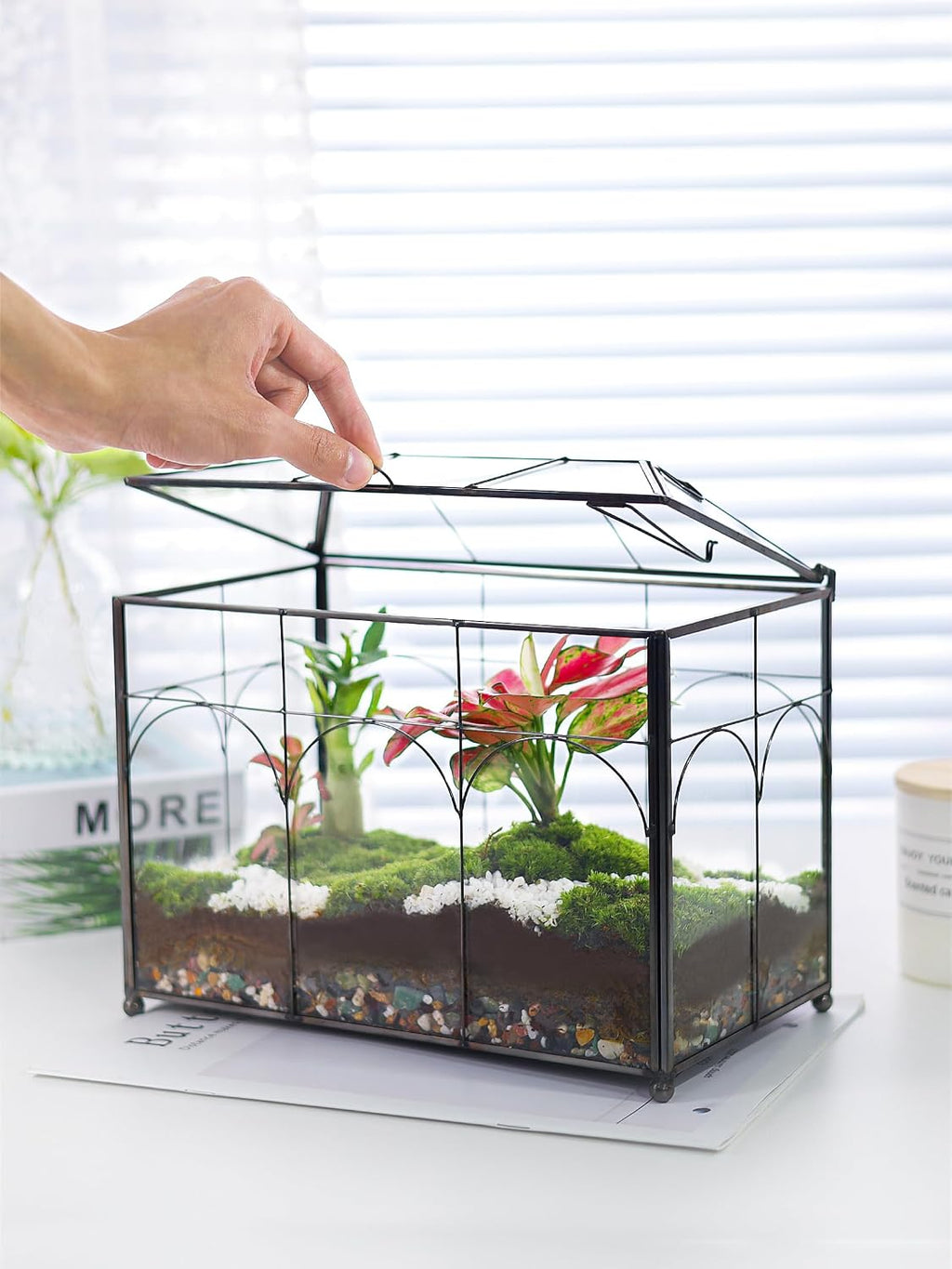 redhugo glass planter terrarium with lid, indoor display shown in use