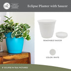 The HC Companies 6 Inch Eclipse Round Planter Pots with Drainage Holes & Attached Saucer, Lightweight UV-Resistant Plastic Indoor & Outdoor Planters, 4-Pack Flower Pots for Garden & Home Decor, White