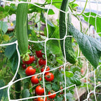 Trellis Netting, CANAGROW Heavy-Duty Garden Plant Trellis Netting for Climbing Plants, Outdoor Indoor Grow Net for Beans Tomatoes Peas Pumpkin Flowers, 6x30ft, 1 Pack