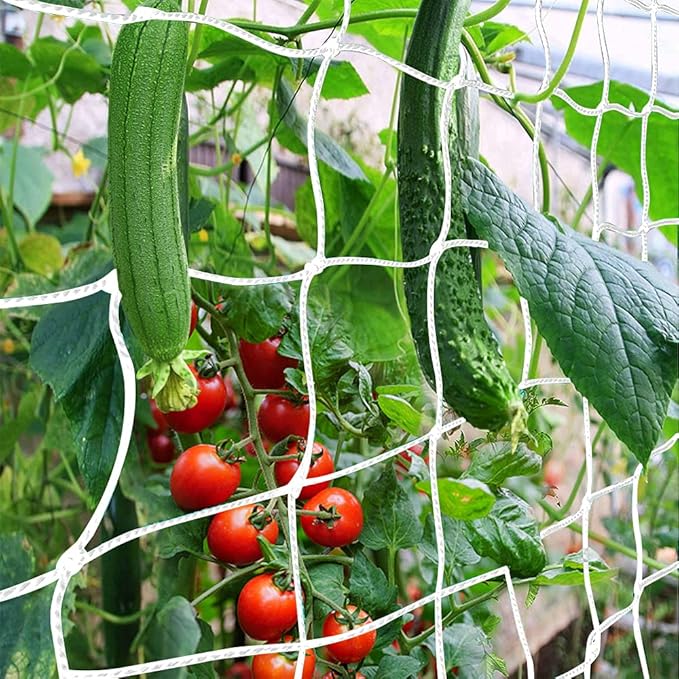 Trellis Netting, CANAGROW Heavy-Duty Garden Plant Trellis Netting for Climbing Plants, Outdoor Indoor Grow Net for Beans Tomatoes Peas Pumpkin Flowers, 6x30ft, 1 Pack
