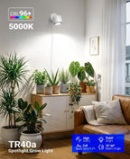 Barrina TR40A Track Grow Light, 5000K 40W, White Cover, 1-Pack | Wall Grow Bulbs for Indoor Plants, Adjustable Beam Angle (15°-60°), Full Spectrum Plant Spotlight, Timer & Long Power Cord