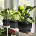 SQOWL Ceramic Plant Pots - 8 Inch Planter Indoor, Round Flower Pot with Drainage Hole and Saucer, Modern Outdoor Planter, Apartment Decor, Gifts for Plant Lovers, Black