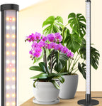 Barrina T10 Standing Grow Light for Indoor Plants, 20W 2FT, Full Spectrum | Desk LED Plant Light, Hanging and Standing Mount, Table Top Vertical Grow Lights with On/Off Switch, Ideal for Plants Growth
