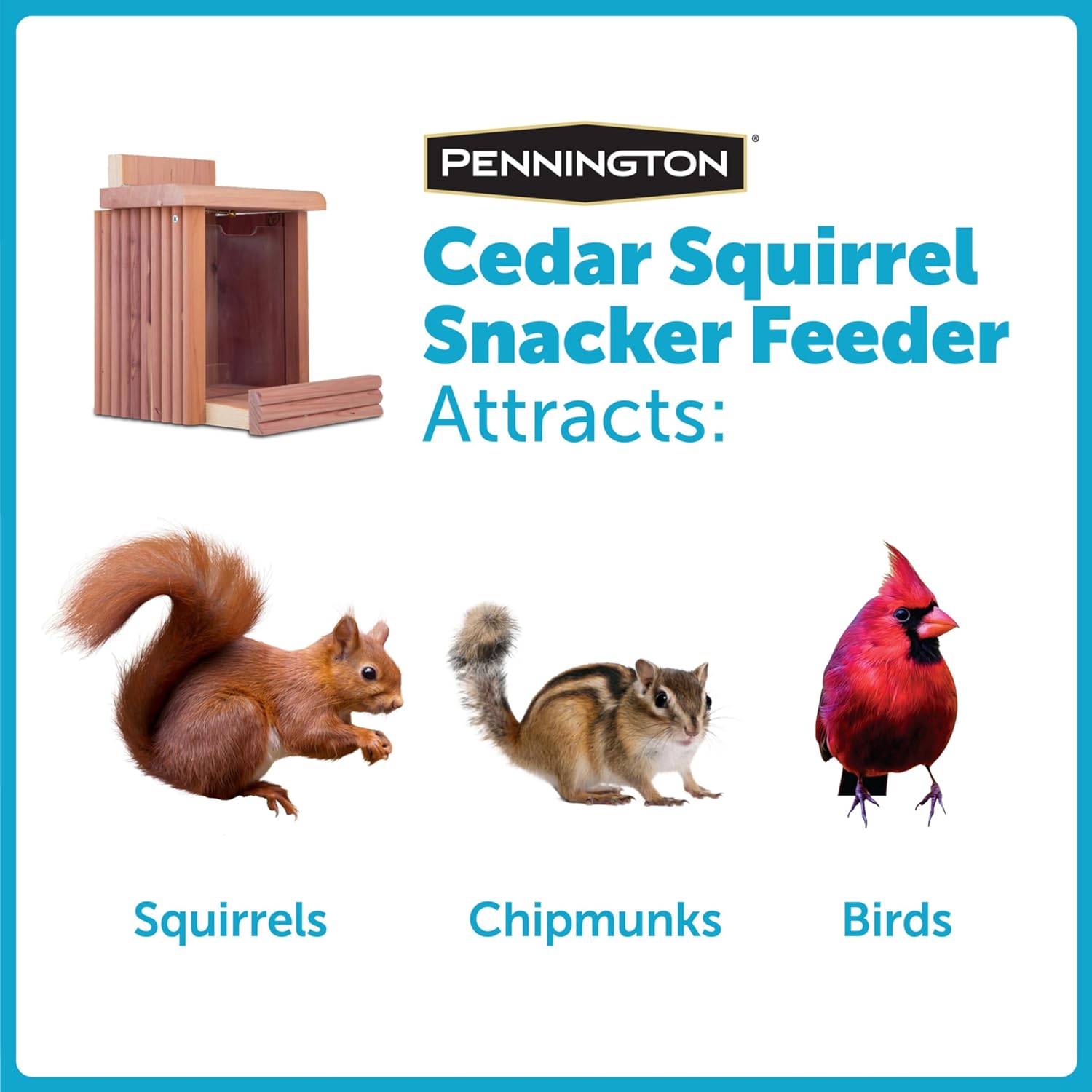 Pennington Cedar Squirrel Snacker Feeder, Squirrel Feeder, 2.75 LB | Hanging squirrel feeder, bird and squirrel feeder, eastern red cedar; mounts to tree, post or fence, keeps food dry