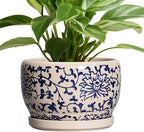 SQOWL Ceramic Planters for Indoor Plants - 8 inch Plant Pot with Drainage Hole and Saucer, Decorative Flower Pot Outdoor, Porcelain Round Planter, Living Room Decor, Gardening Gifts, Blue and Beige