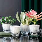 6 Pack 4 inch Self Watering Pots Planters for Indoor Plants, African Violets Pots with Wick Rope, Modern Plastic Nursery Pots for All House Plants,Flowers Succulents,Herbs,Cactus,Orchids