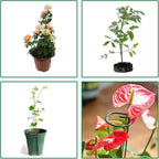 12 Pack Plant Stakes,Plant Support Stakes for Two Sizes(16 or 32 Inches),Plant Stakes for Outdoor Plants,Garden Flower,Tomato(Green)