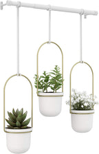 umbra triflora hanging planter, indoor herb garden, set, view 10