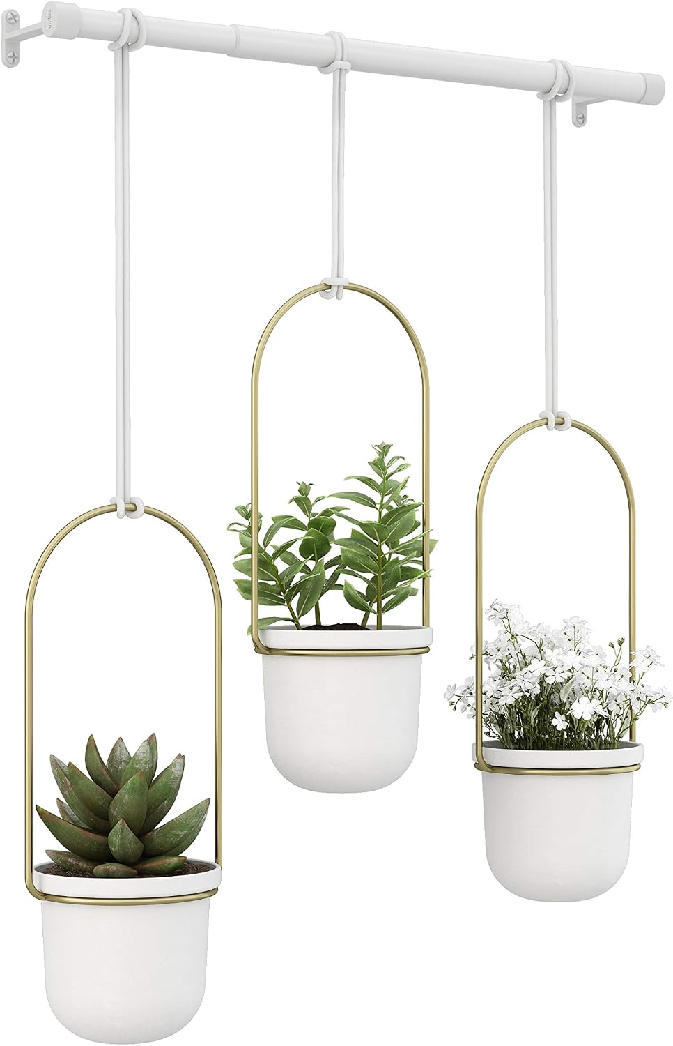 umbra triflora hanging planter, indoor herb garden, set, view 10