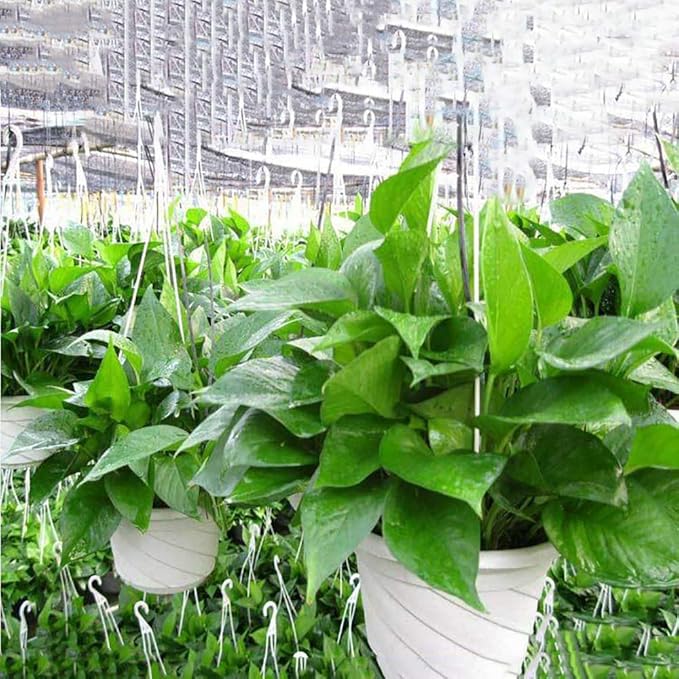 VIDELLY 4 Pieces Plastic Hanging Planters, 5.9 in Dia x 3.54 in H, Small Flower Plant Basket Pots Chain Holder Garden Decoration for Indoor and Outdoor Use, Beige White
