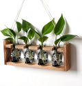 plant propagation stations halloween skull plant terrarium kit, main product view