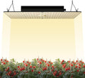 VEVOR LED Grow Light, 400W Full Spectrum Dimmable, High Yield Samsung 281B Diodes Growing Lamp for Indoor Plants Seedling Veg & Bloom Greenhouse Growing, Daisy Chain Driver 4x4/5x5 ft Tent, Black