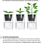 ORIMERC 12 Pack 3 inch Net Cups Pots with 12 feet Hydroponics Self Watering Wick & 12 Plant Labels Aquaponics Mason Jar Bucket Insert Orchid kratky Vegetable Garden Growing Netted Basket Slotted Mesh
