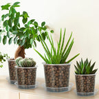4 Inch Clear Nursery Pots for Plants with Sacuers 15 Pack, Plastic Flower Pots with Drainage Holes, Variety Pack Seedlings Garden Pot for Indoor Outdoor (4 inch)