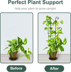 Coomin 23in Taller Plant Trellis for Climbing Plants Indoor, Sturdy Houseplant Trellis for Potted Plants with Ties, Vine Plant Support for Monstera Pothos Ivy, Plant Decor, 2P