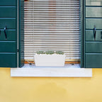 GREANER Long Window Boxes Planters, 6 Pack 16x3.8 Inch Vegetable Box Pot with Tray, Indoor Succulent Cactus Flowers Plastic Rectangle Pot for Balcony, Office, Garden, Outdoor, Windowsill - White