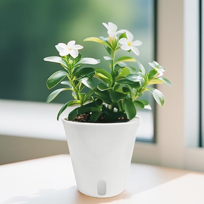 3" Self Watering Pots - 10 Sets Planter Pots for Indoor Plants With Water Level Indicator and Multiple Vents - for House Plants, Flowers, Herbs