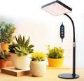 FECiDA Bonsai Grow Light, Table Grow Lights for Seed Starting, Seedlings | UV-IR Full Spectrum, 5 Modes 4/8/12/16/20 Hr Timer, 25 Watt Power Draw, 16"-24" Height Adjustable