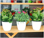3.5“ Self Watering Planter White Flower Pot, 3 Pcs Small Planter Pot, Mini Plant Pot, for All Plants, Herbs, African Violets, Succulents, Flowers Or Start Plants, White, 3 inch