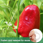 150 Pcs Plant Clips for Climbing Plants, Tomato Clips for Support, Plastic Garden Clips for Plants Grape Vine Vegetables Make Plant Grow Upright