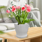 Flower Pots Outdoor Clearance 6 inch Set of 5 Succulent Planters for Indoor Plants Garden Home Holiday, Plastic Nursery Pots for Plants with Drainage Holes and Saucer, Modern Plant Pot White