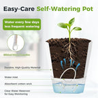 5 Pack Self Watering Pots for Indoor Plants 6.7 Inches Self Watering Planters African Violet Self Watering Pots Clear Pot for Herb Orchid Flower Houseplant, Light Grey