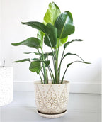 Gepege 10 Inch Plant Pot, Creamy White Ceramic Planter with Drainage Holes and Saucers for Plants Indoor and Outdoor Flower Pot