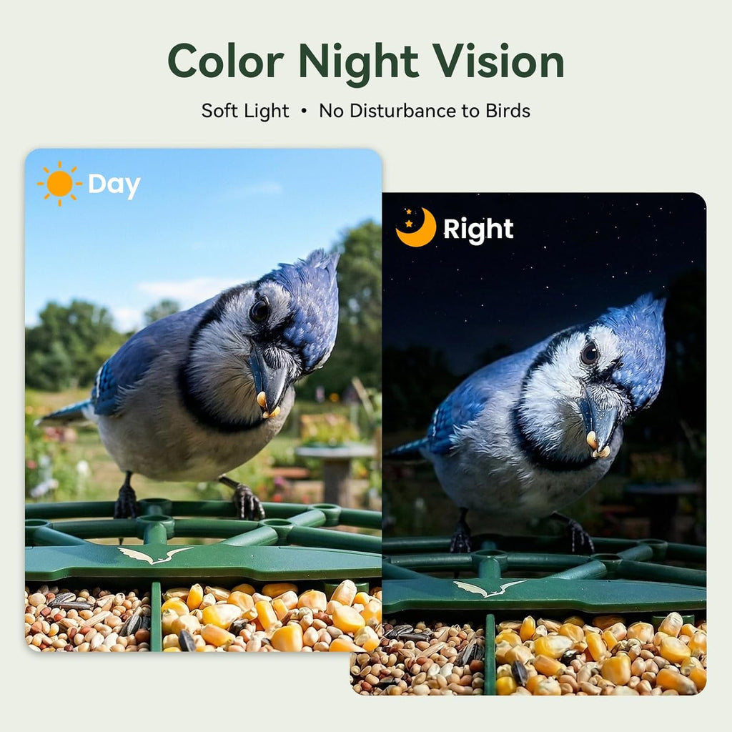 Smart Bird Feeder with Camera, 11000+ AI Bird Recognition, 2K HD Color Night Vision, IP65 Waterproof Solar Powered Bird Feeder with 142° Wide Angle, Motion Detection for Outdoor Garden, Ideal Gift