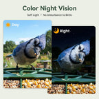 Smart Bird Feeder with Camera, 11000+ AI Bird Recognition, 2K HD Color Night Vision, IP65 Waterproof Solar Powered Bird Feeder with 142° Wide Angle, Motion Detection for Outdoor Garden, Ideal Gift