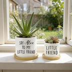 Say Aloe to My Little Friend Planter Pot, Funny Plant Pots, Aloe Plant Pot Succulent Pots with Tray Set of 2 Flower Pots Indoor Pot - Without Plants, Office Home Windowsill Gifts (No Plant)
