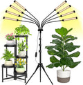 8 Heads Grow Lights for Indoor Plants Full Spectrum with Stand