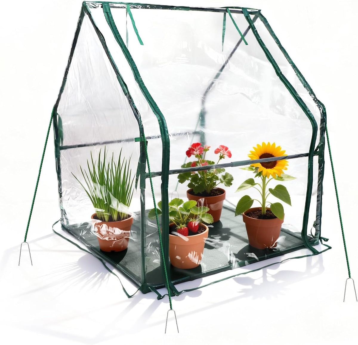 proworx mini greenhouse 36"x36"x42" plant cover tent seed, main product view