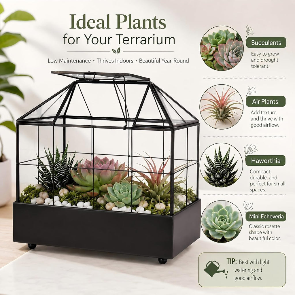 large tall plant terrarium glass – glass greenhouse, package contents