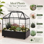 large tall plant terrarium glass – glass greenhouse, package contents