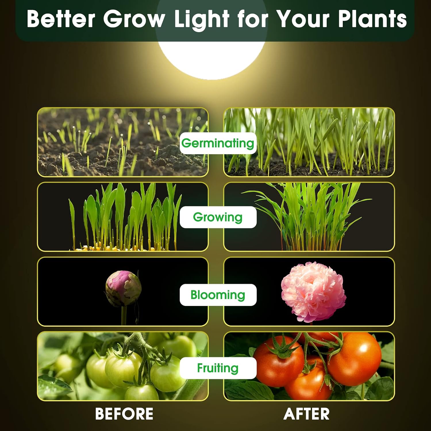Grow Light Bulbs, LED Grow Light Bulb A19, Full Spectrum Light Bulb | Grow Bulb E26 Base, 11W Plant Light Bulbs 100W Equivalent, Grow Light Bulb for Indoor Plants, Flowers, Greenhouse, 2 Pack