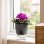 12 Pack Self Watering Pots for Indoor Plants, PlanterHoma 3.2 Inch Plant Pot Plastic Self Watering Planter for Orchid, African Violet, Mini Clear Flower Pots with Drainage Holes and Wicking Rope, Grey