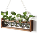 plant terrarium hanging propagation stations gift for women, main product view