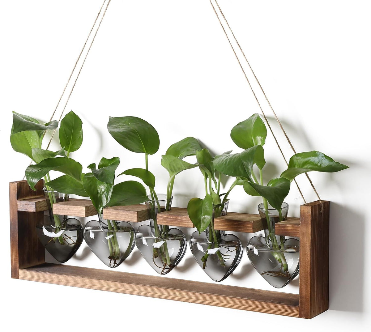 plant terrarium hanging propagation stations gift for women, main product view