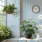 10 Inch Hanging Planters for Indoor Plants,Set of 2 Hanging Pots for Plants with Self-Watering, Outdoor Hanging Plant Pot with Drainage and 2 Kinds of Hanging Baskets Hangers for Home Decor and Garden