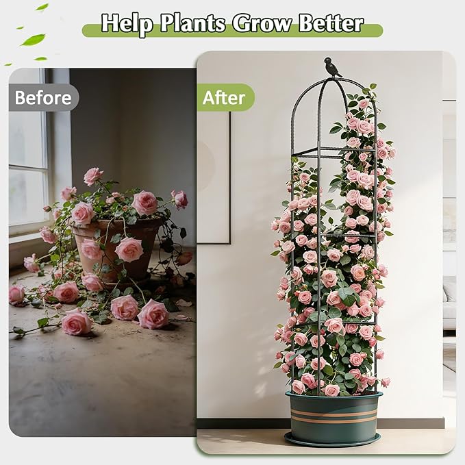 Square Tomato Cages for Garden, 6.2 FT Cucumber Trellis for Flowers, Grape, Pea, Rose, Bean, Rustproof Plastic Coated Metal Plant Support for Potted Plants Indoor Outdoor - 2PC Obelisk Trellis