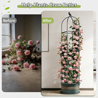 Square Tomato Cages for Garden, 6.2 FT Cucumber Trellis for Flowers, Grape, Pea, Rose, Bean, Rustproof Plastic Coated Metal Plant Support for Potted Plants Indoor Outdoor - 2PC Obelisk Trellis