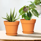 4 Inch Plastic Plant Pots with Drainage Holes and Trays – 8 Pack Small Nursery Pots for Indoor & Outdoor House Plants and Flowers, Seedling Starter Planters, Terracotta