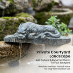 Small Dragon Statue Pond Spitter Outdoor Water Feature with Water Pump Decorative Animal Fountain for Garden,Yard, Lawn and Landscaping Decor