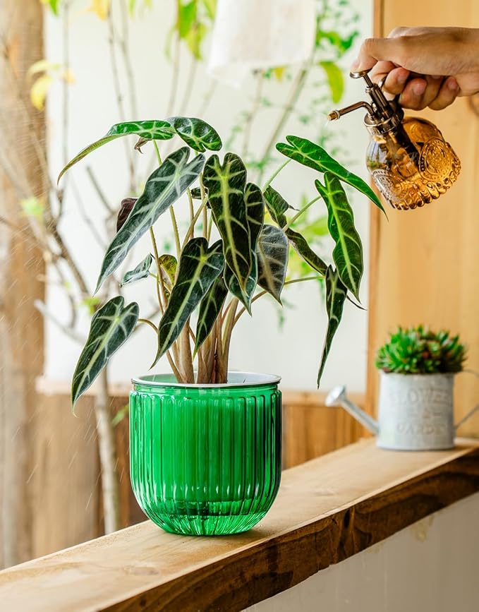 Melphoe Self Watering Pots for Indoor Plants Planter, 5.3 Inch 2 Pack Planters Self Watering Plant Pots for Flower, Houseplants, Succulent, African Violets and Cactus with Drainage